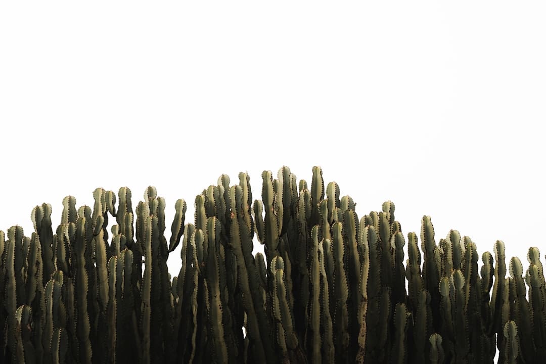 泉州：“小物业”服务“大民生”